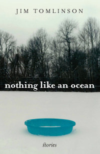 Immagine di copertina: Nothing Like an Ocean 9780813125404
