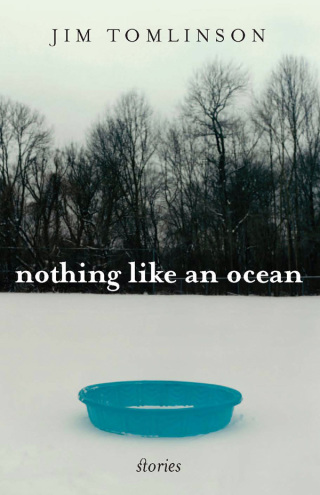Cover image: Nothing Like an Ocean 9780813125404