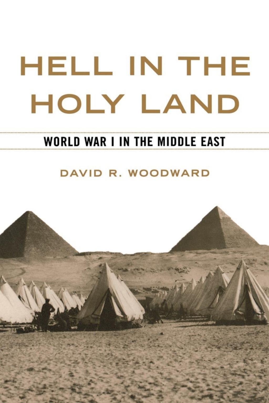 Hell in the Holy Land World War I in the Middle East
