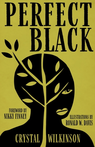 Cover image: Perfect Black 9780813151151