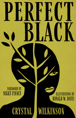 Titelbild: Perfect Black 9780813151151