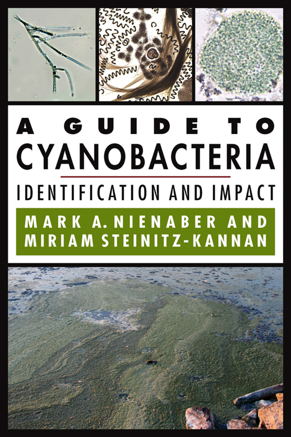 A Guide to Cyanobacteria Identification and Impact