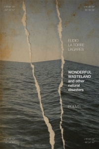 Titelbild: Wonderful Wasteland and other natural disasters 9780813178226