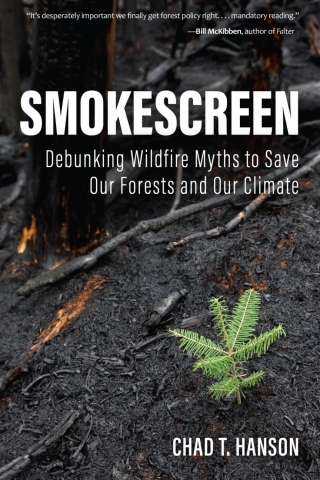 Cover image: Smokescreen 9780813181073