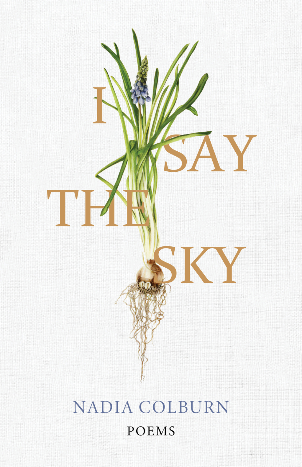 I Say the Sky Poems