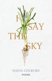 表紙画像: I Say the Sky 9780813198637