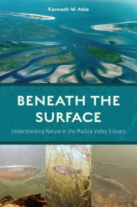 Cover image: Beneath the Surface 9780813590202