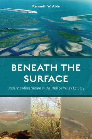 Omslagafbeelding: Beneath the Surface 9780813590202