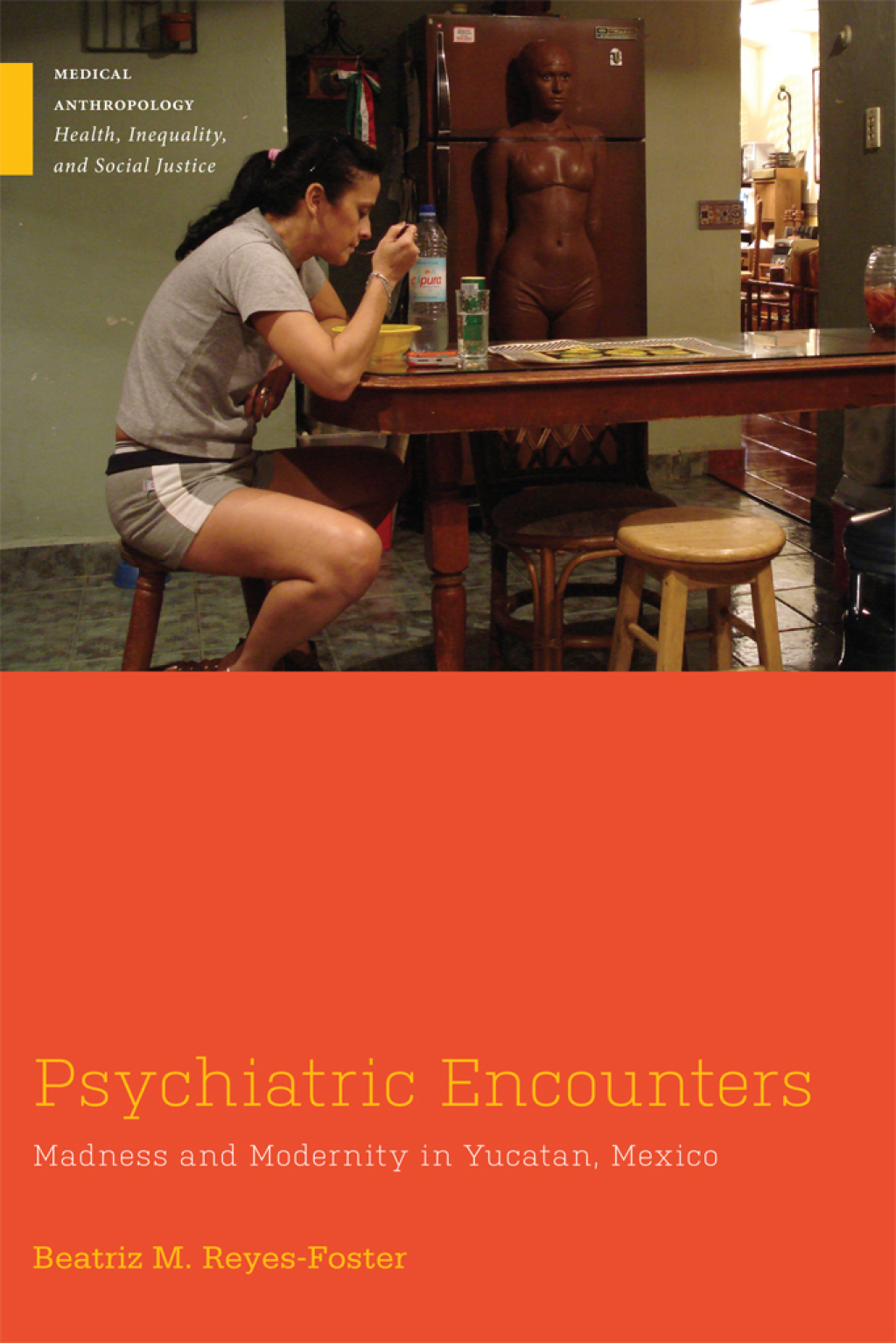 Psychiatric Encounters Madness and Modernity in Yucatan, Mexico