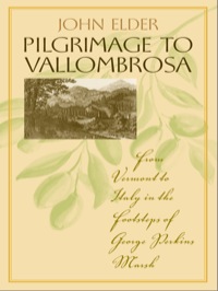 صورة الغلاف: Pilgrimage to Vallombrosa 9780813925769