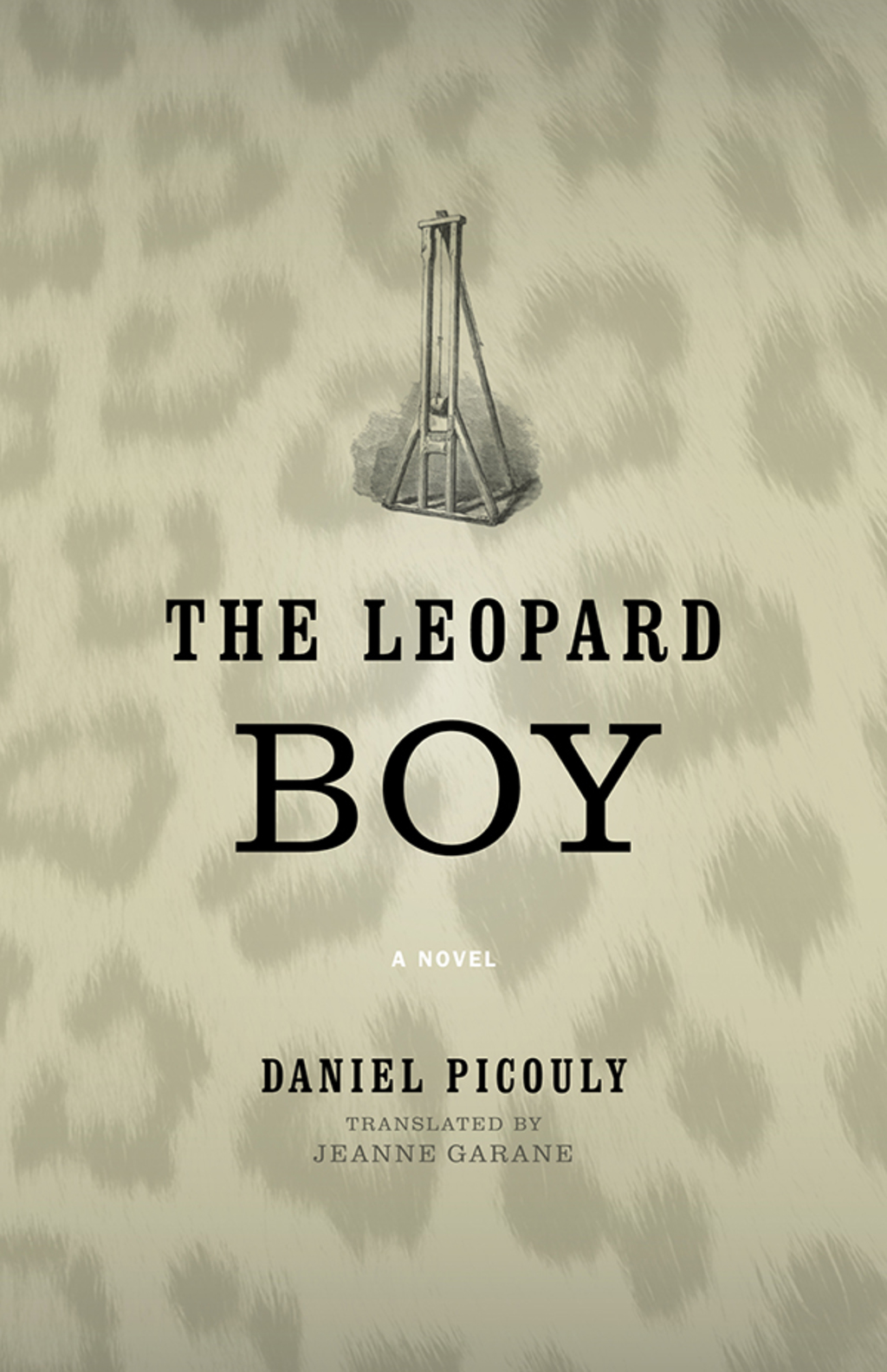 The Leopard Boy eBook