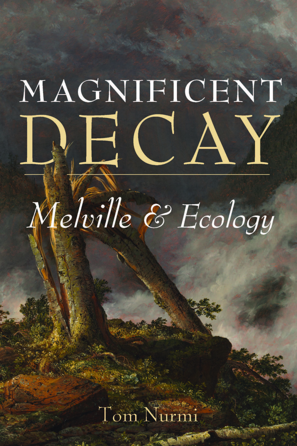 Magnificent Decay eBook