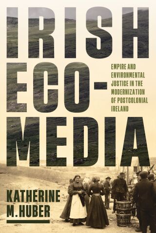 Titelbild: Irish Ecomedia 9780813954387
