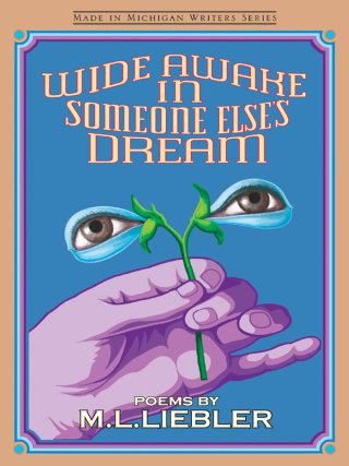 Cover image: Wide Awake in Someone Else's Dream 9780814333822