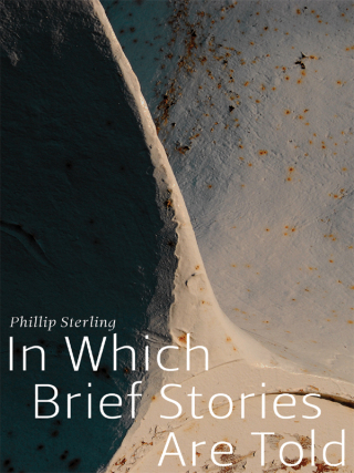 Cover image: In Which Brief Stories Are Told 9780814335079