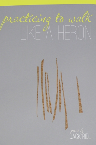 Imagen de portada: Practicing to Walk Like a Heron 9780814334539
