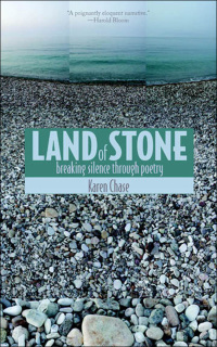 Cover image: Land of Stone 9780814333150