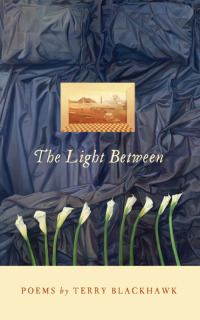 Imagen de portada: The Light Between 9780814336144