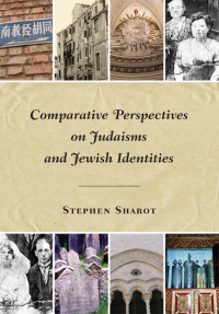 Imagen de portada: Comparative Perspectives on Judaisms and Jewish Identities 9780814334010