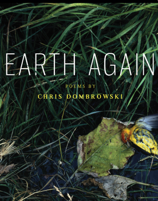 Cover image: Earth Again 9780814337295