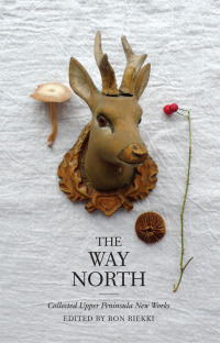 Cover image: The Way North 9780814338650