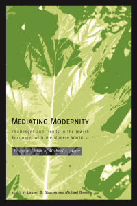 Omslagafbeelding: Mediating Modernity 9780814333952