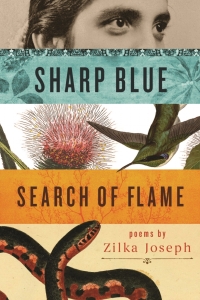 Cover image: Sharp Blue Search of Flame 9780814340493