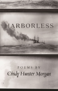 Cover image: Harborless 9780814342428