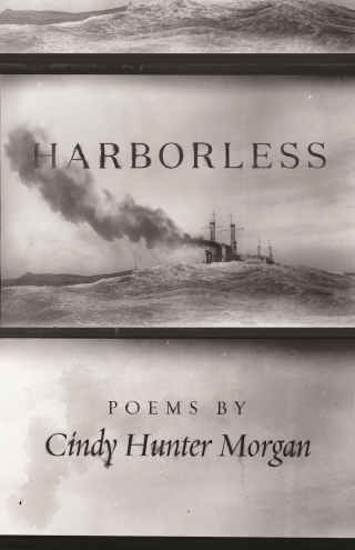 Imagen de portada: Harborless 9780814342428