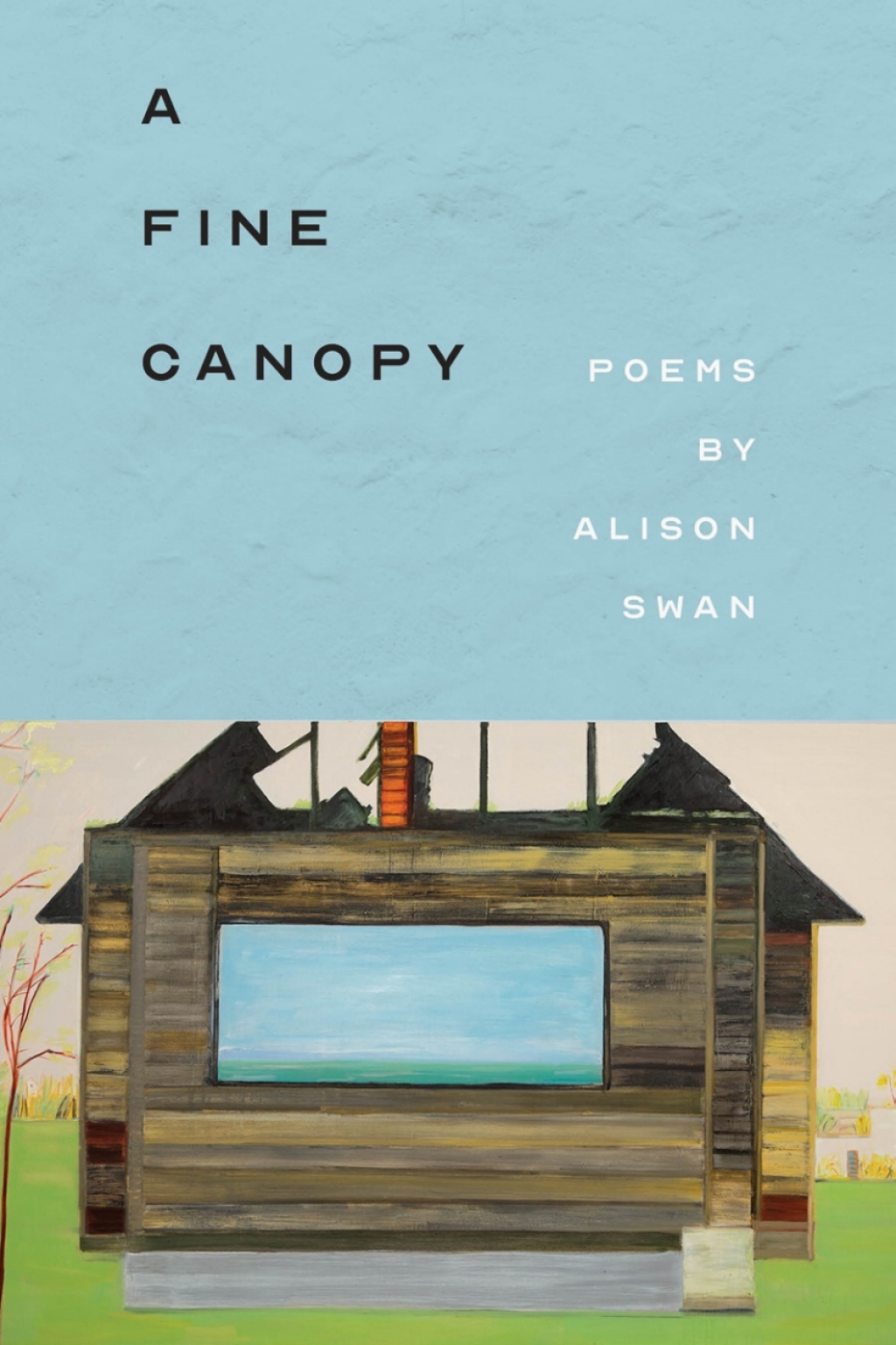 A Fine Canopy