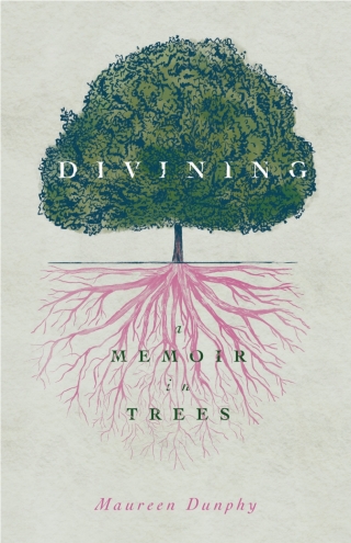 Cover image: Divining, a Memoir in Trees 9780814348420