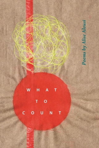Cover image: What to Count 9780814350706