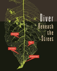 Imagen de portada: Diver Beneath the Street 9780814351116