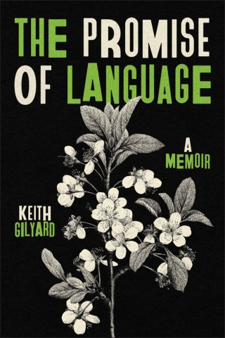 Cover image: The Promise of Language 9780814351949