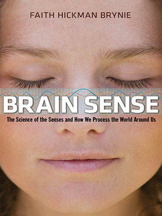 Cover image: Brain Sense 1st edition 9780814413265
