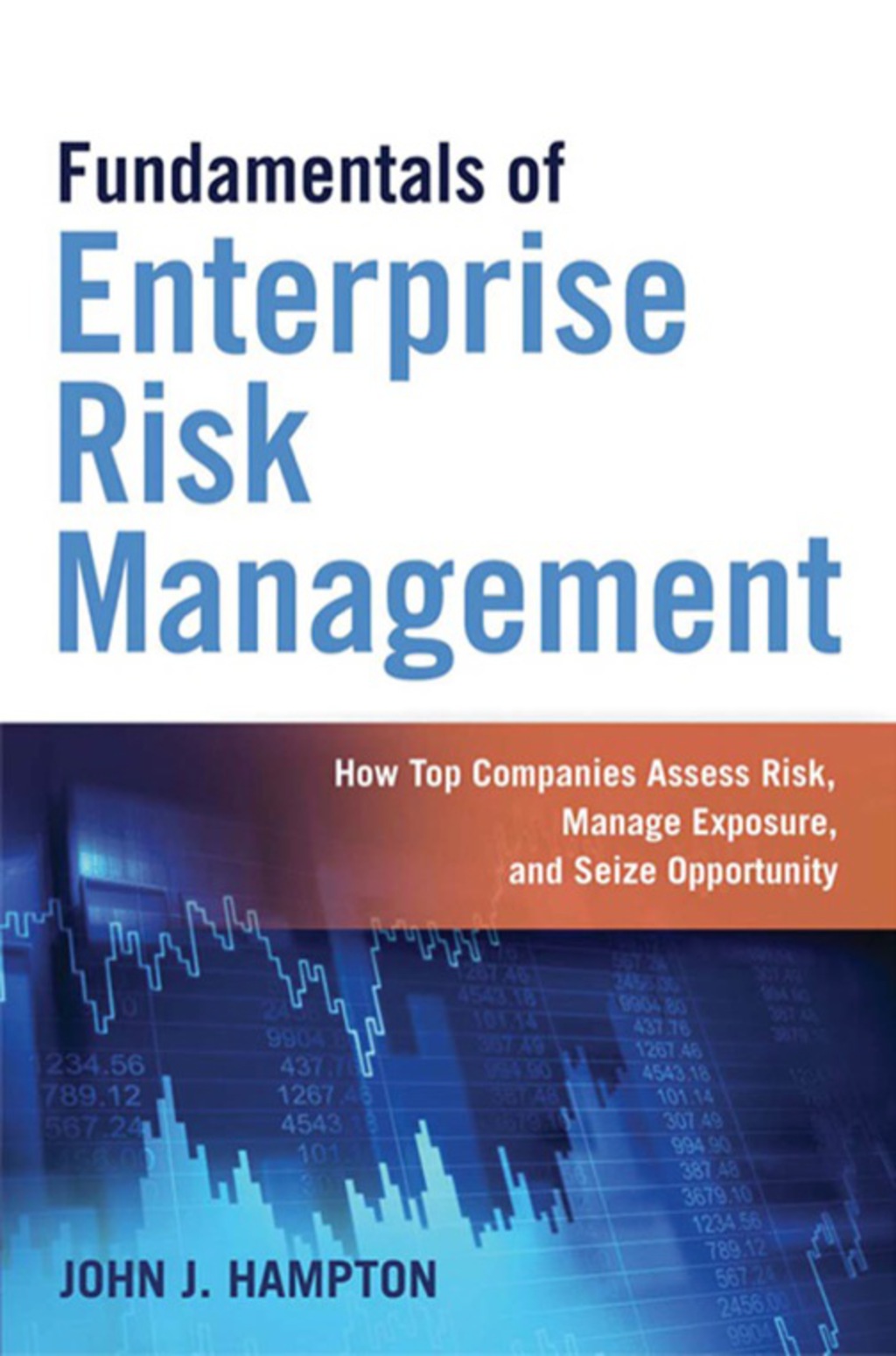 Fundamentals of Enterprise Risk Management How Top Companies Assess Risk, Manage Exposure, and Seize Opportunity 1st Edition