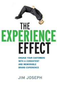 Cover image: The Experience Effect 1st edition 9780814415542