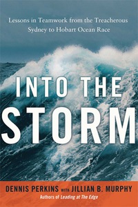 Cover image: Into the Storm 1st edition 9780814431986