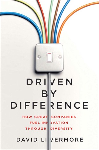 Imagen de portada: Driven by Difference 1st edition 9780814436530