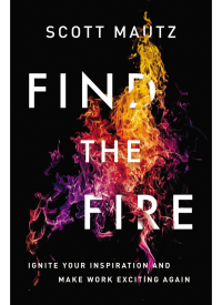Cover image: Find the Fire 1st edition 9780814438220