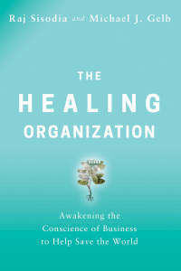 Cover image: The Healing Organization 9780814439814