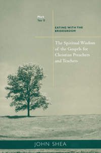 Cover image: The Spiritual Wisdom of Gospels for Christian Preachers and Teachers 9780814629147