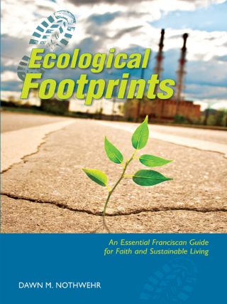 Imagen de portada: Ecological Footprints 9780814633748