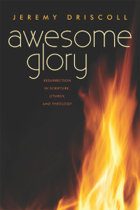 Cover image: Awesome Glory 9780814644034