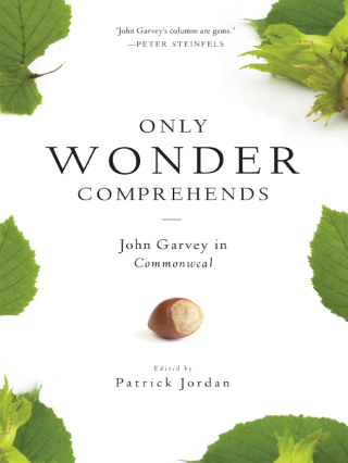 Imagen de portada: Only Wonder Comprehends 9780814644645