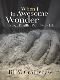 Cover image: When I in Awesome Wonder 9780814645574