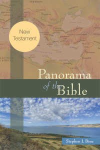 صورة الغلاف: Panorama of the Bible 9780814648544