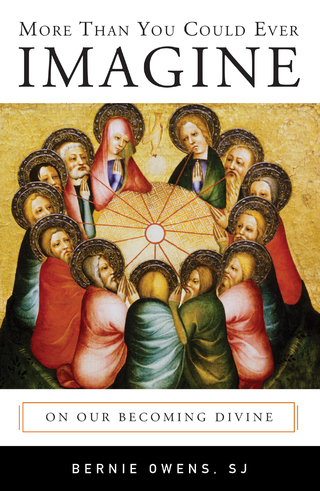 表紙画像: More Than You Could Ever Imagine 9780814649213