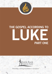 صورة الغلاف: The Gospel According to Luke, Part One 9780814663684