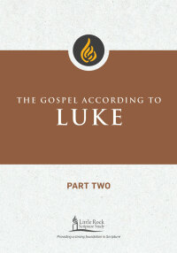 Imagen de portada: The Gospel According to Luke, Part Two 9780814663691